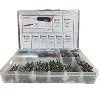 Robertson Screws Introductory Pack - 500 screws