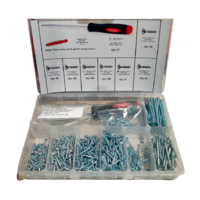 Robertson Screws Introductory Pack - 500 screws Zinc Plated