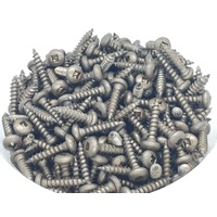 Pan HD Steel Screws 8g X 19mm Qty 500